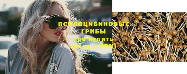 спайс Алексин