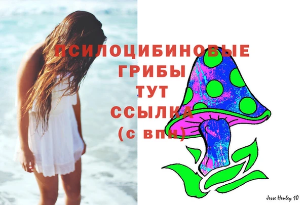 спайс Алексин