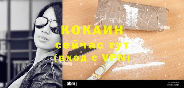 спайс Алексин