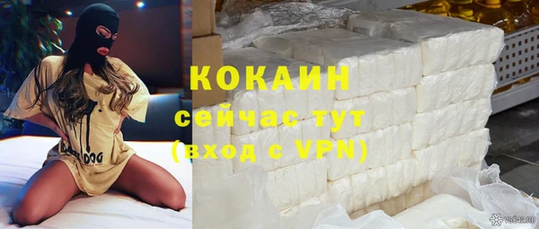 гашик Переславль-Залесский