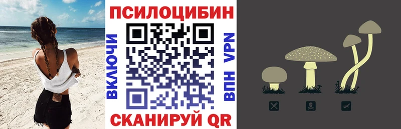 Галлюциногенные грибы Psilocybine cubensis  Пугачёв 